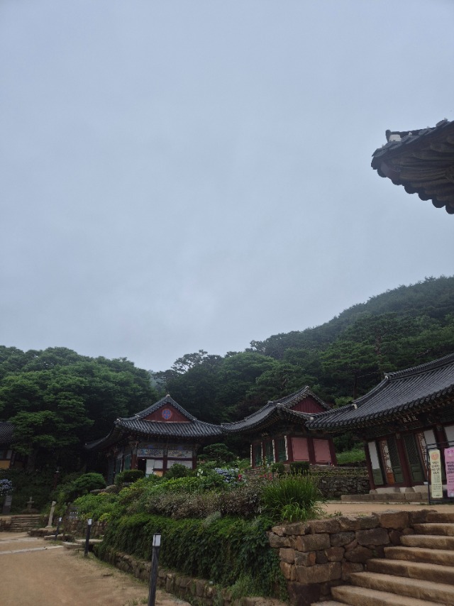 KakaoTalk_20250702_174212361.jpg